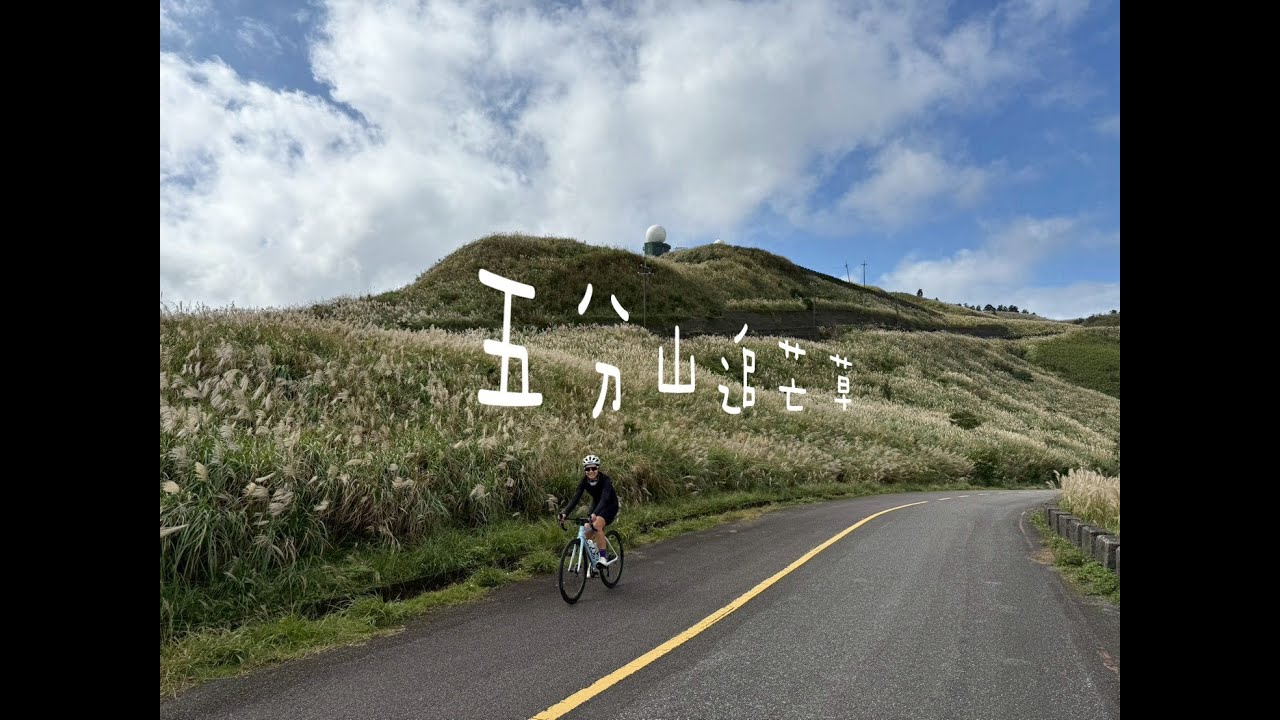 經典單車路線-五分山氣象站芒草季