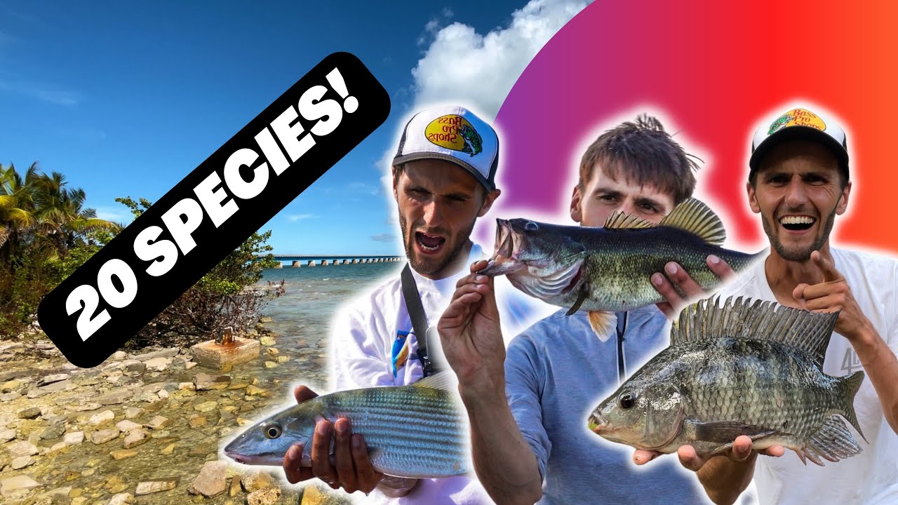 37 + Fish, 20 + DIFFERENT SPECIES! 🐠 | The Ultimate Florida Fishing Marathon! 🎣(4K)