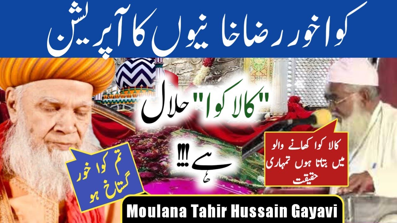 Barelvi ka operation |  Moulana Tahir Hussain Gayavi|  kawwa halal ya haram ? Ala hazrat