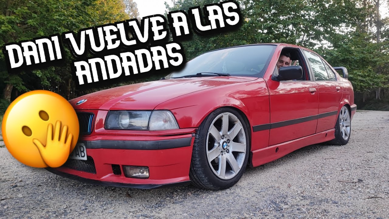 El 36 de Dani VUELVE a las calles 😎 JAULA ANTIVUELCO para el COMPACT🔥 Y salvamos un PERRO 🐶