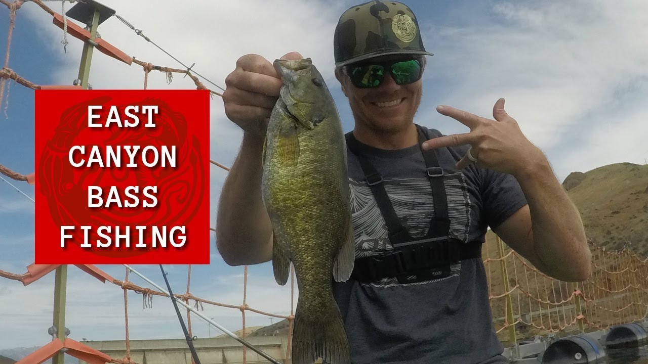 East Canyon Reservoir Bass Fishing - Smallmouth Duel Paddle Board vs. Kayak