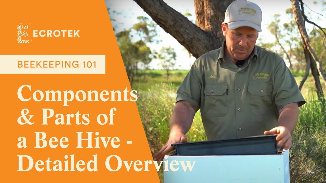 Beekeeping 101: Components & Parts of a Bee Hive - Detailed Overview | Ecrotek Beekeeping Supplies
