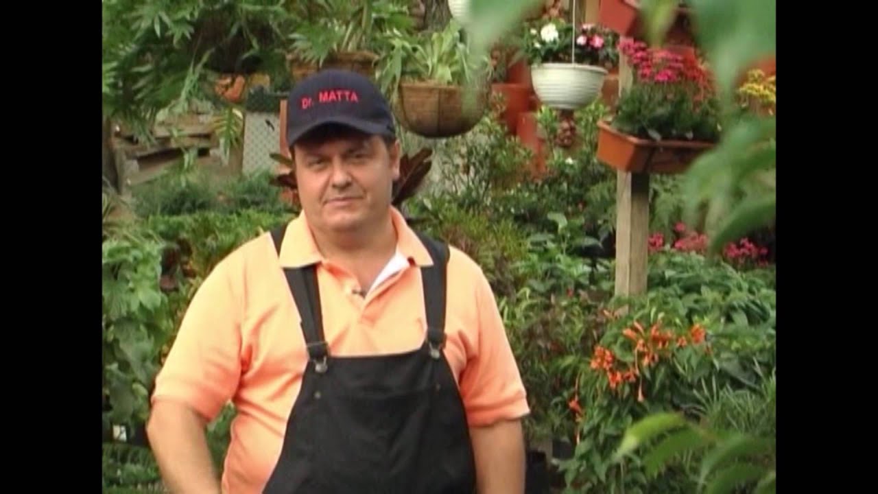 Plantas para Jardín -Gloxinia- TvAgro por Juan Gonzalo Angel