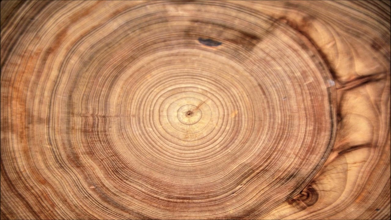 🌺LA LINGUA DEL CUORE Chandra Livia Candiani Meditazione Vipassana Yoga Varese Rossana Trabattoni
