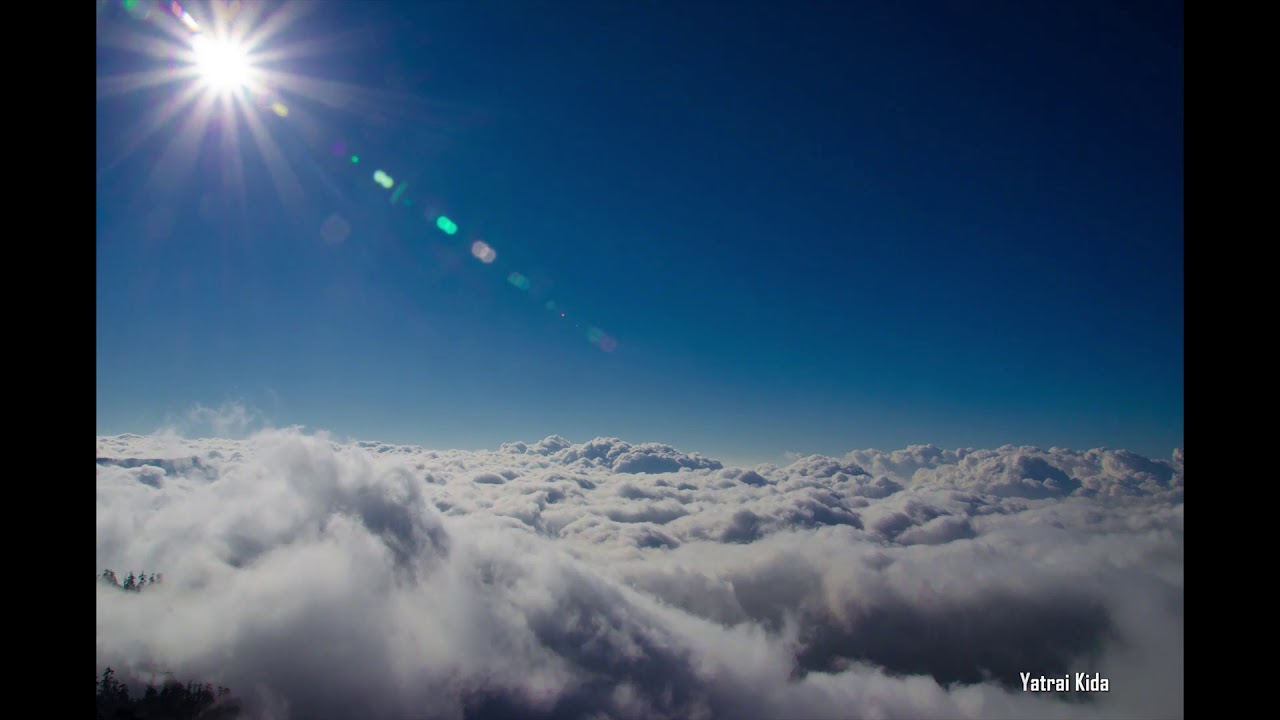 Flying In the Blue Dream