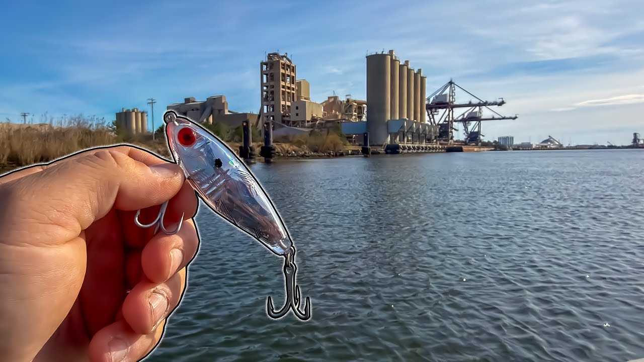 I Used THIS to Catch the BIGGEST One Yet!!