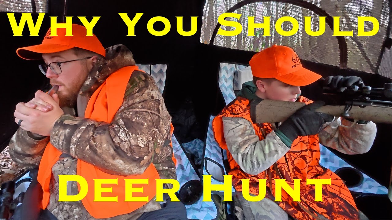 Why You Should Deer Hunt