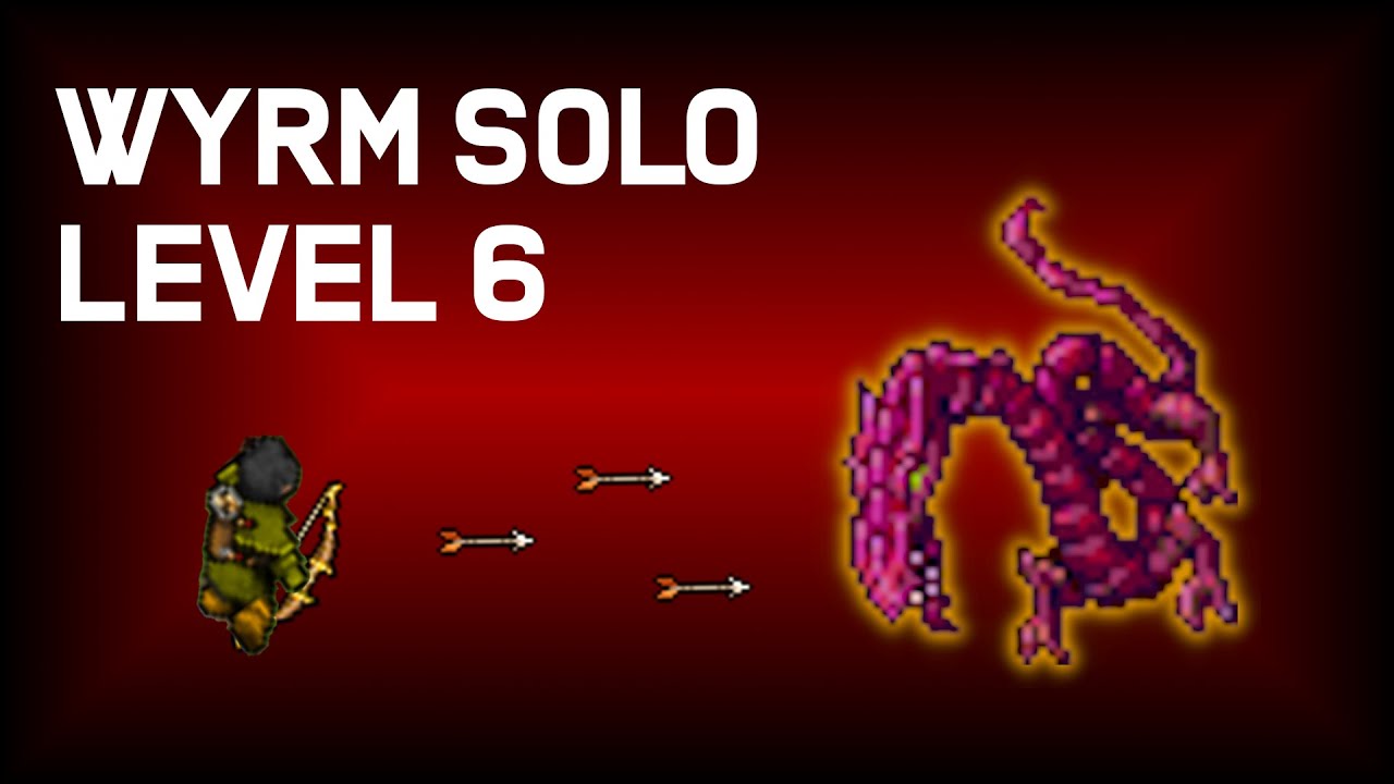 Wyrm Solo - Paladin Level 6