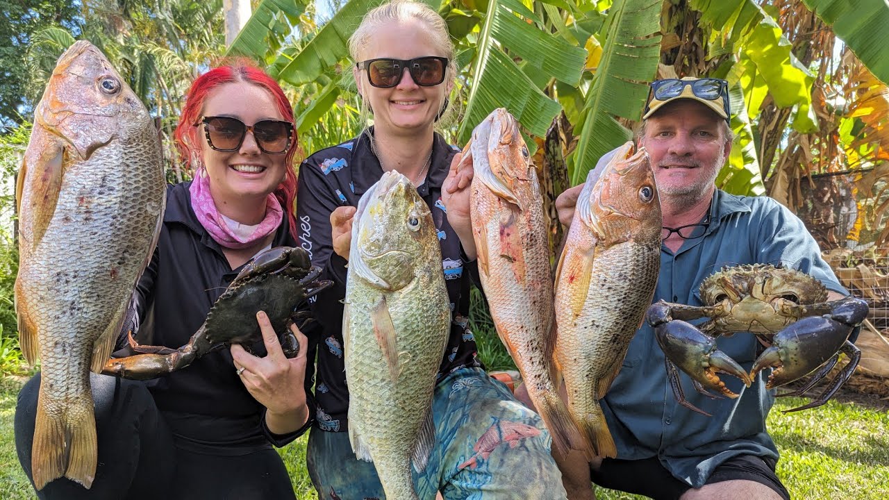 We Caught So Many FINGERBANGERS on DEAD BAIT (Fingermark, Golden Snapper, & Mud Crabs)