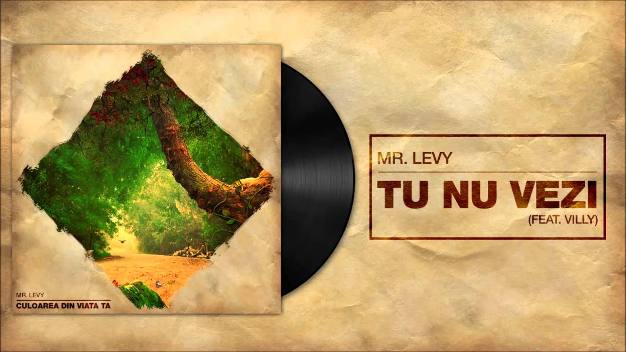 Mr.Levy - Tu nu vezi feat ViLLy