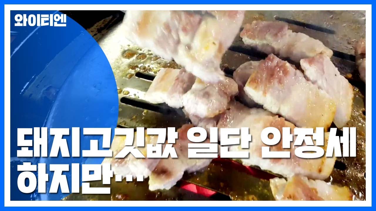 돼지고깃값 일단 안정세...여전히 불안 / YTN
