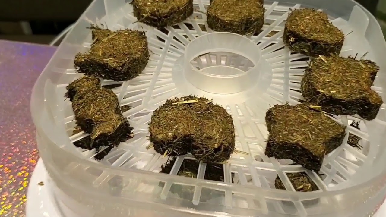 [兔仔草餅DIY教學] 小朋友都可以自己整兔仔草餅???