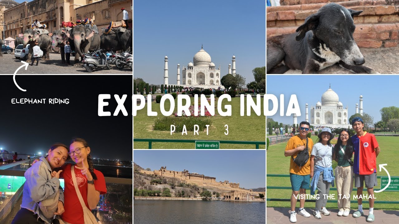 EXPLORING INDIA | taj mahal, jaipur, elephant riding