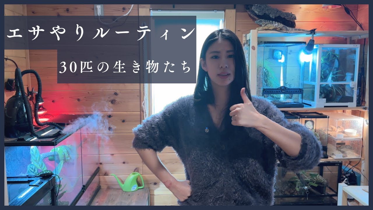 30匹の生き物を飼育する女のエサやりルーティン