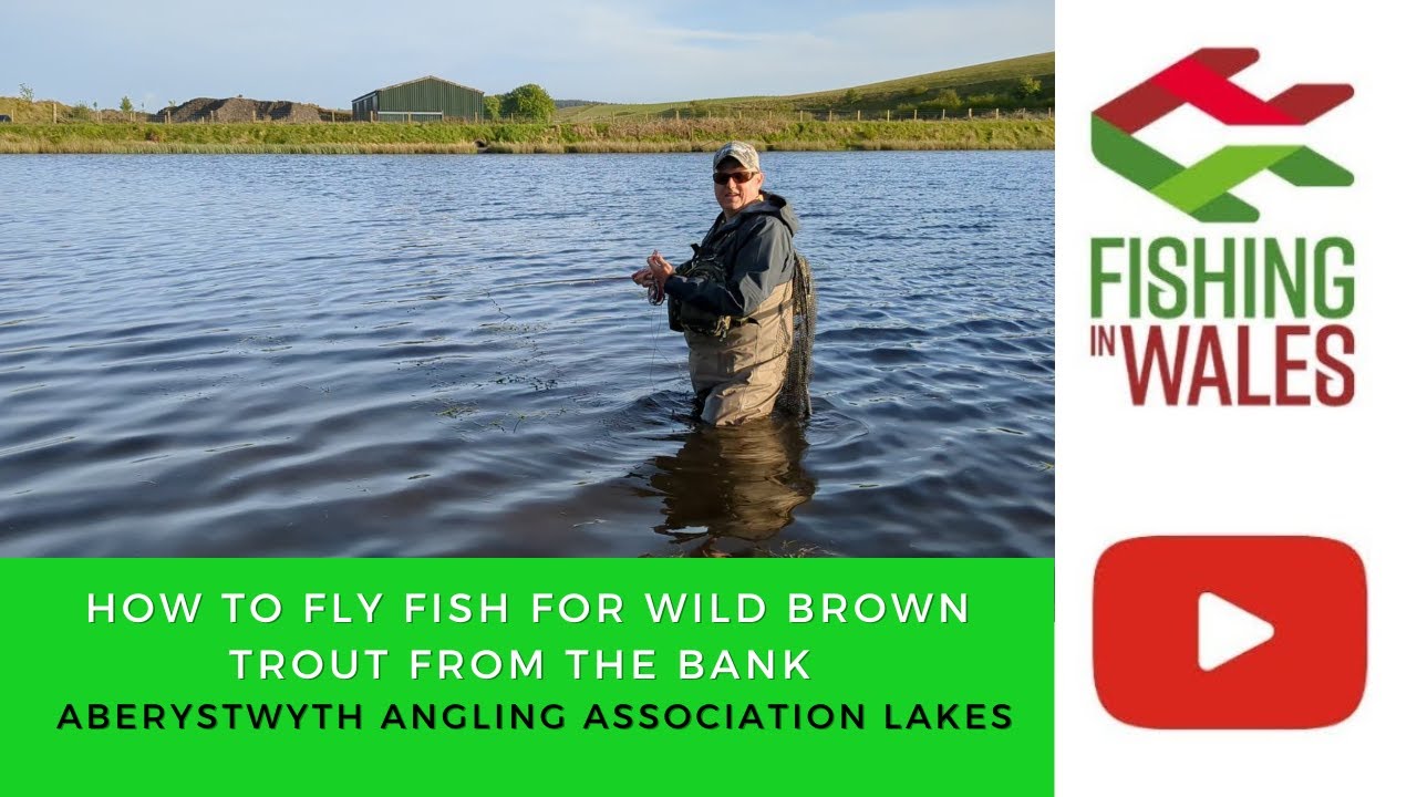How to FLY FISH for wild TROUT from the bank - Fly Fishing Aberystwyth Angling Club Lakes Wales