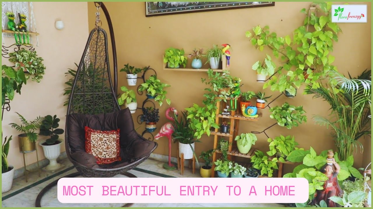 Tips to beautify entrance of your Home, Which Plants to keep on the entry of your home