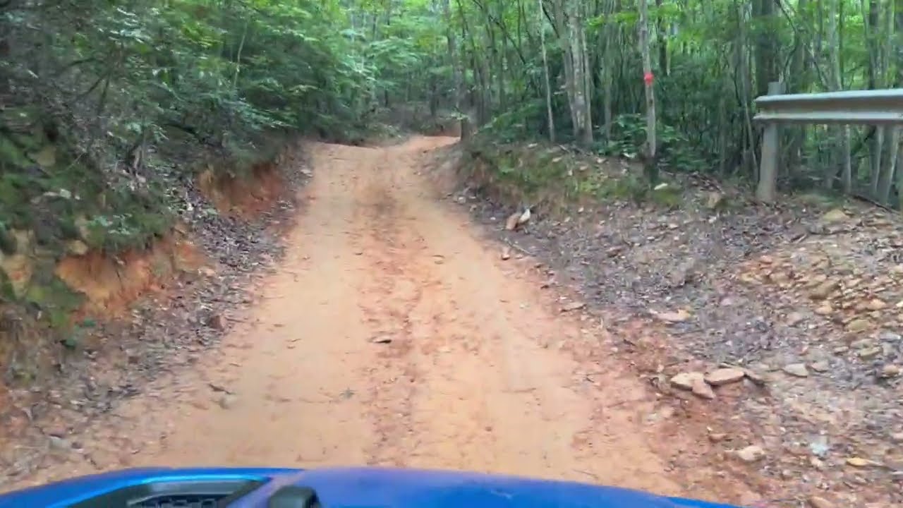Uwharrie | Wolf Den Trail | Trail 89