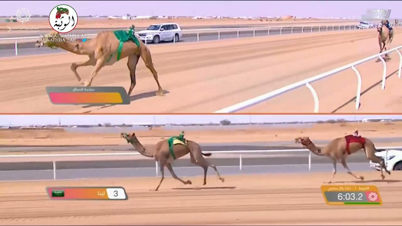 الشوط 1 (الهنوف) لـ الامير تركي بن محمد فهد ال سعود 8:6:07 ،مهرجان ولي العهد 3 2021/8/17الطائف ثنايا