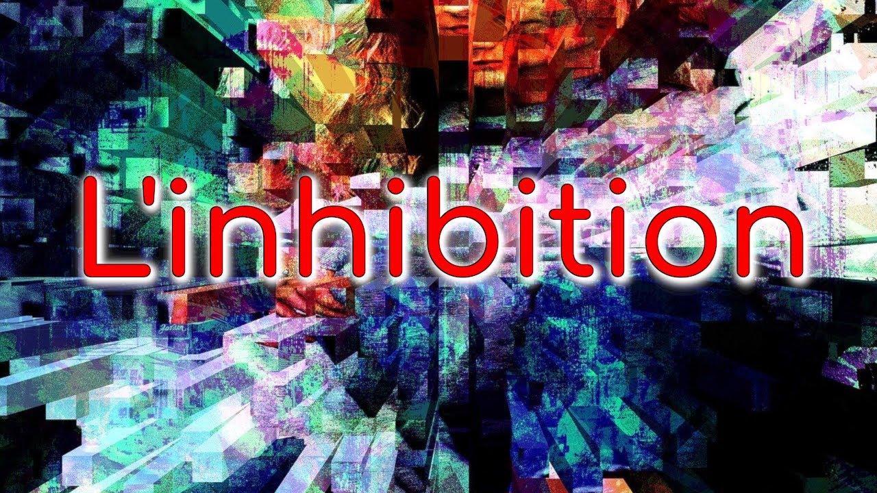 Les Fonctions Exécutives : l'Inhibition | 1/3