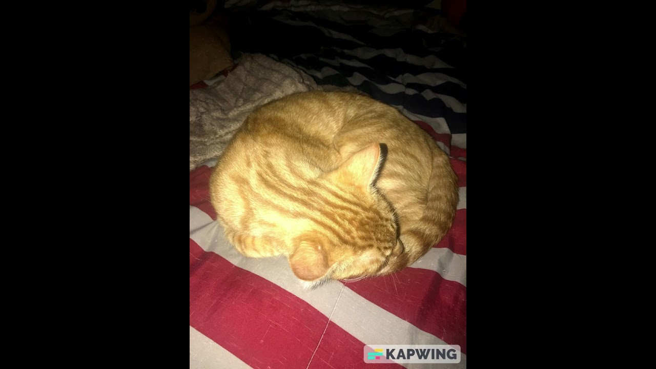 Beat of the Moment - 009 Sound System Slowed and Reverb