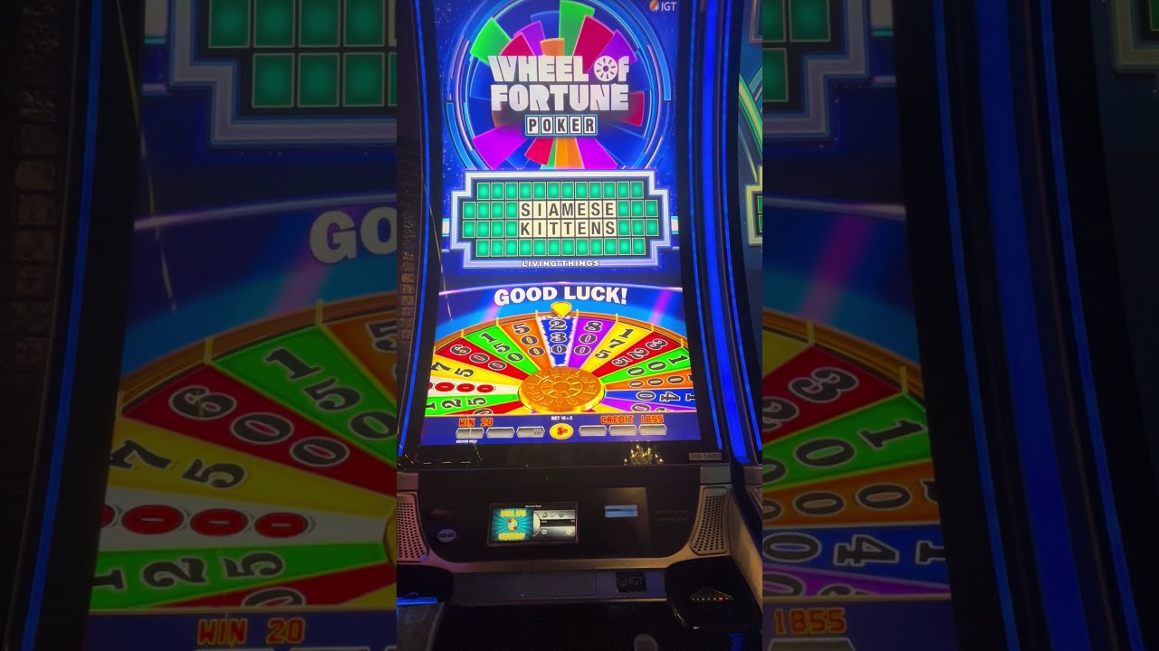 Wheel of fortune bonus feature! 