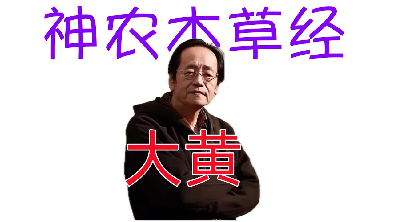 倪海廈《神農本草經》細分版： 270大黃