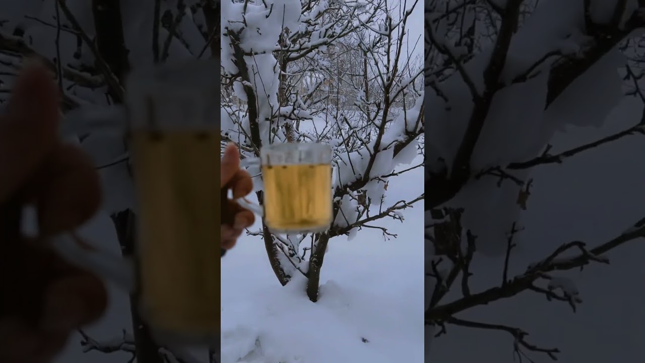 روز برفی❄️☃️ #afghanstan #afghancouple #afghanvlog #snow afghantime #love #atarokhsar