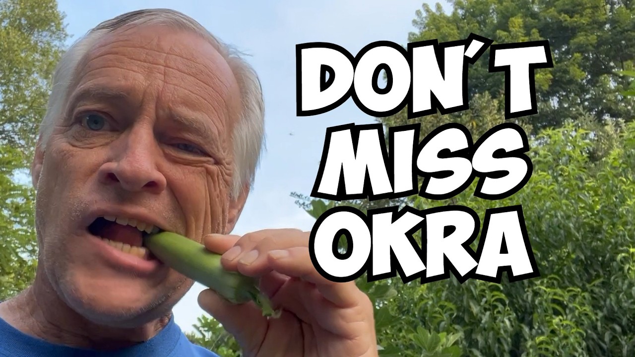 👨‍🌾All About Okra:  from Seed to Table