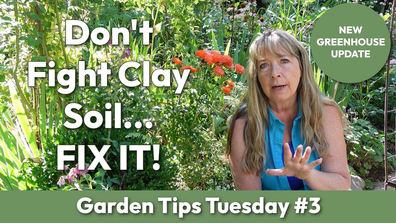 Improve Clay Soil Organically | Gardening Tips That Work!