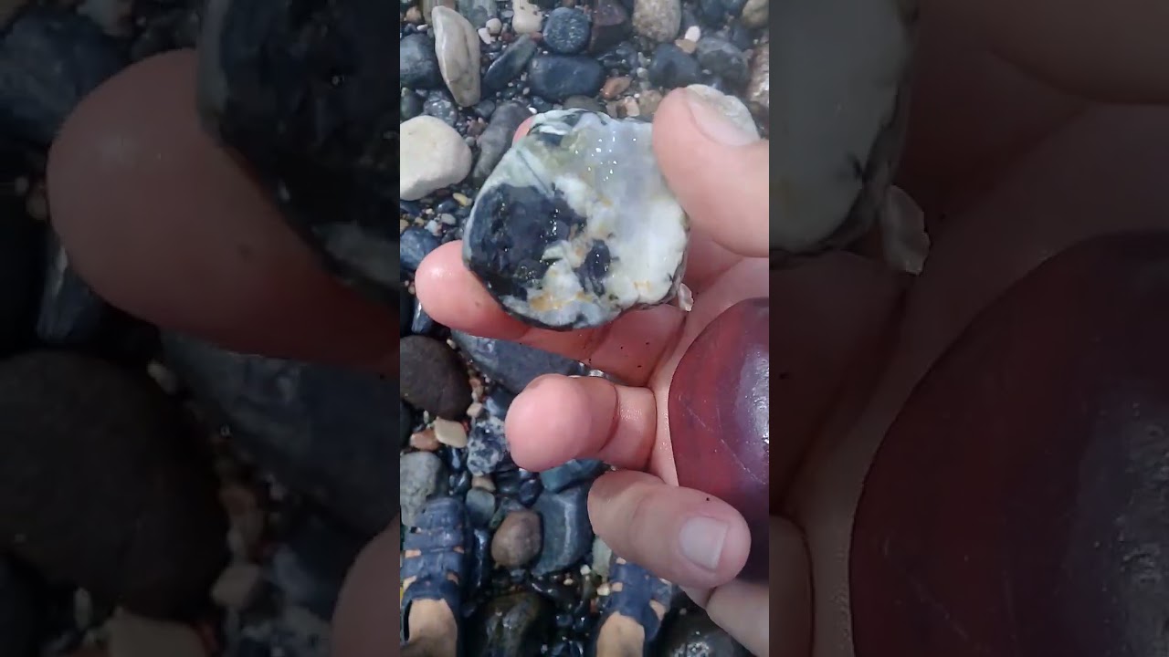 جولة البسيط 3 د. محمود مصطفى البث المباشر