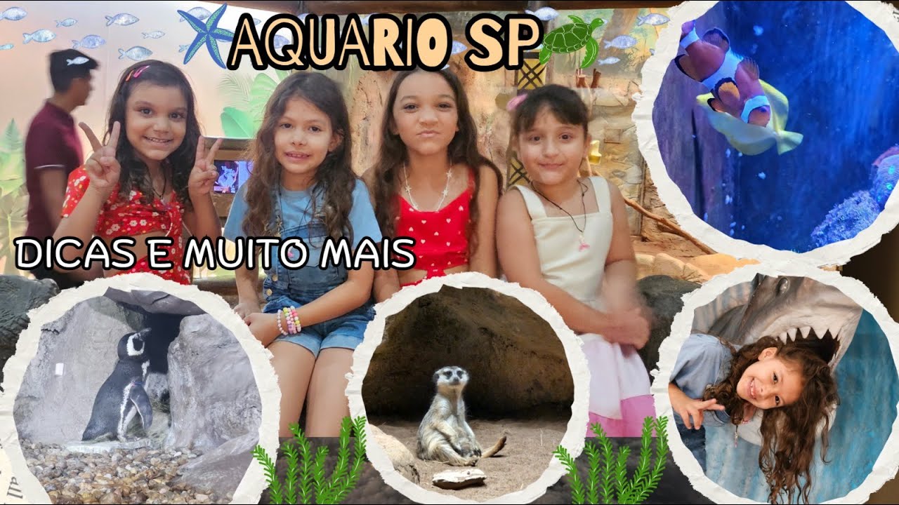 Aquário de SP - Passeio imperdível em São Paulo