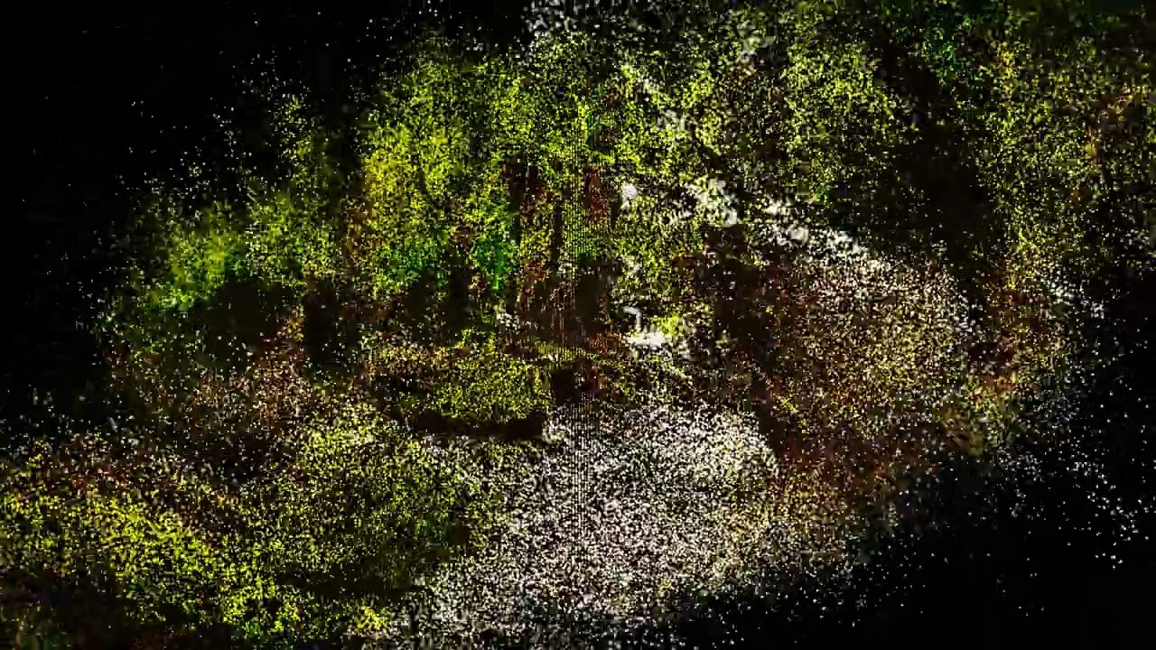 Trapcode Form Forest Walk