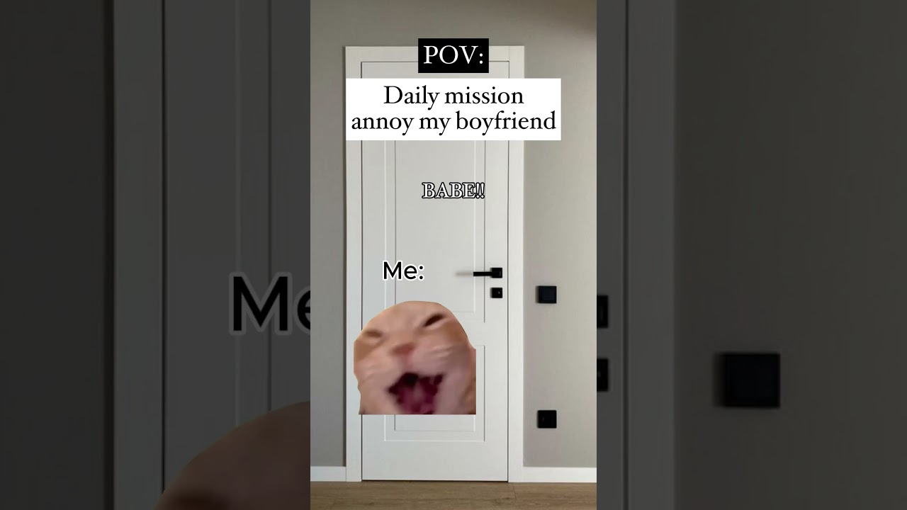 Pov: Annoying my boyfriend couple girlfriend cat meme memes 