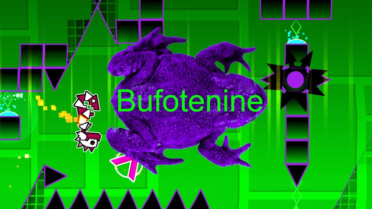 Bufotenine || Layout