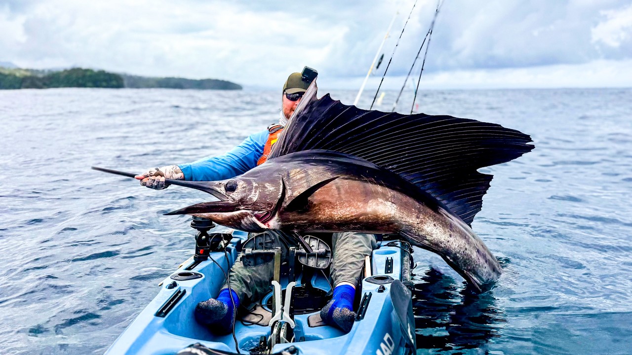 Kayak Angler Towed Miles by MASSIVE Pacific Sailfish