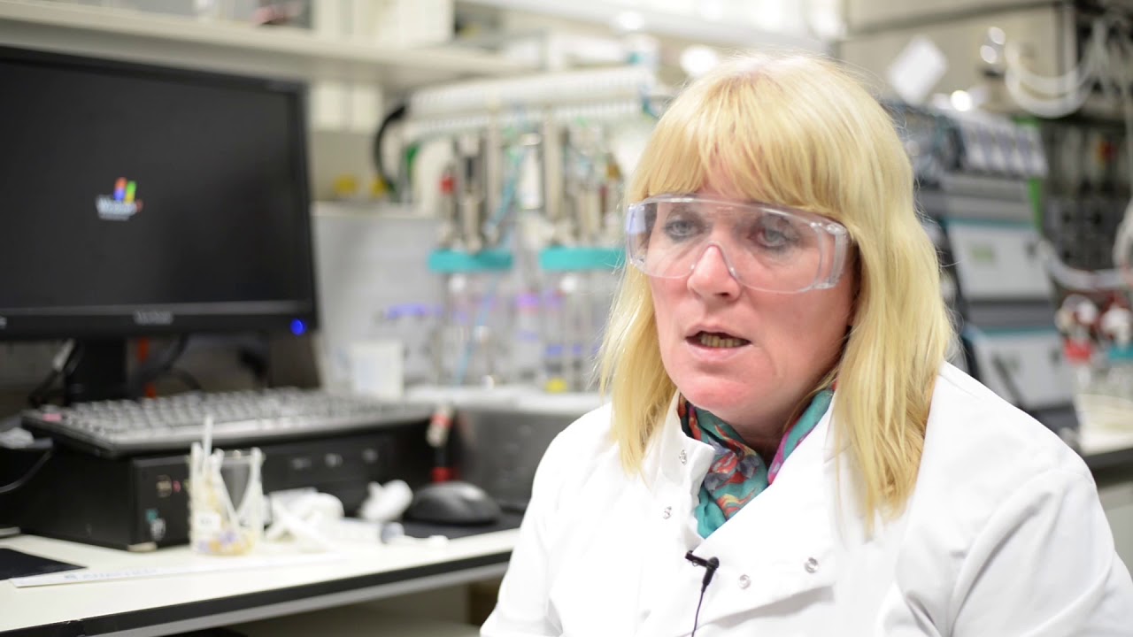 Industrial Biotechnology (MSc)