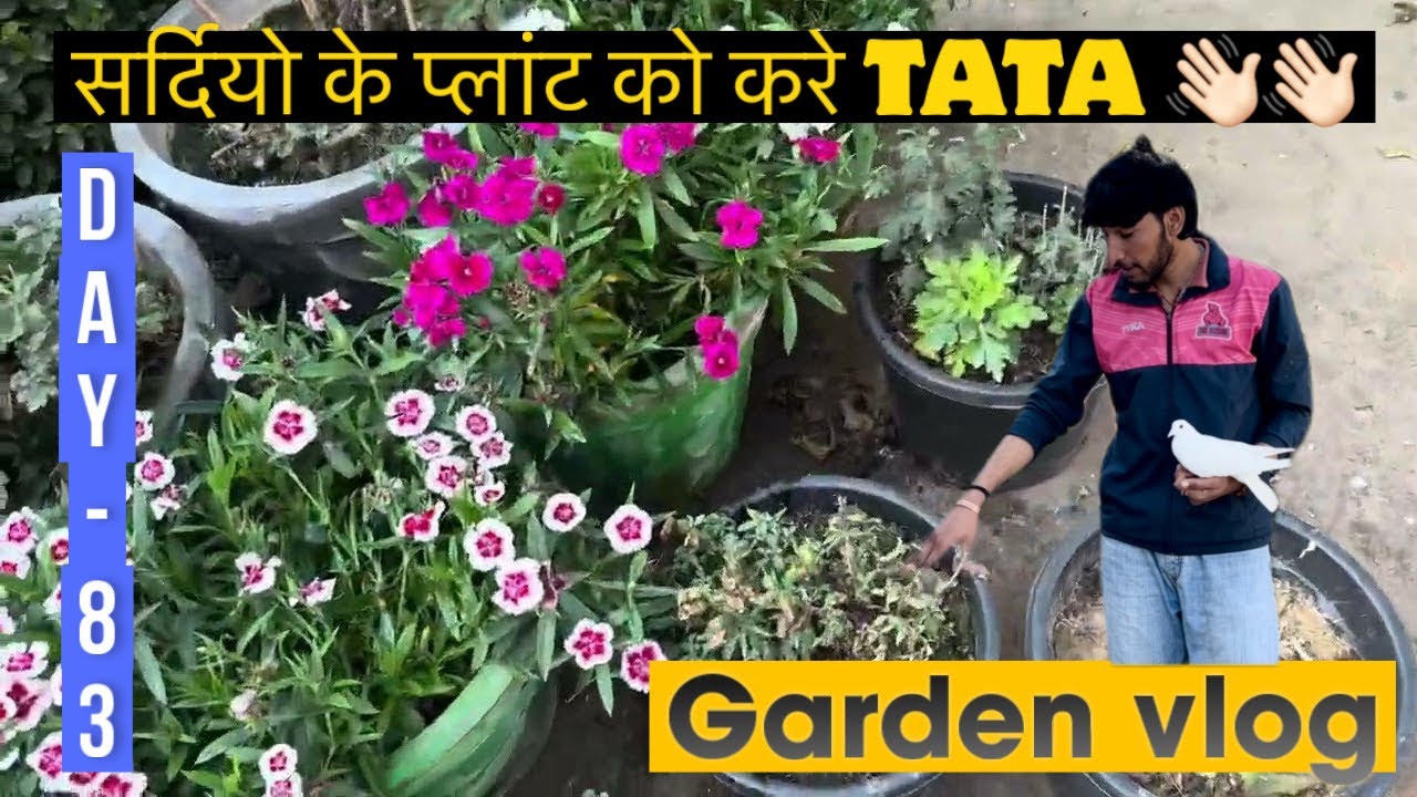 प्रकृति से प्रेम करना ही भगवान से मिलना है (winter flowering plant को करे TaTa)