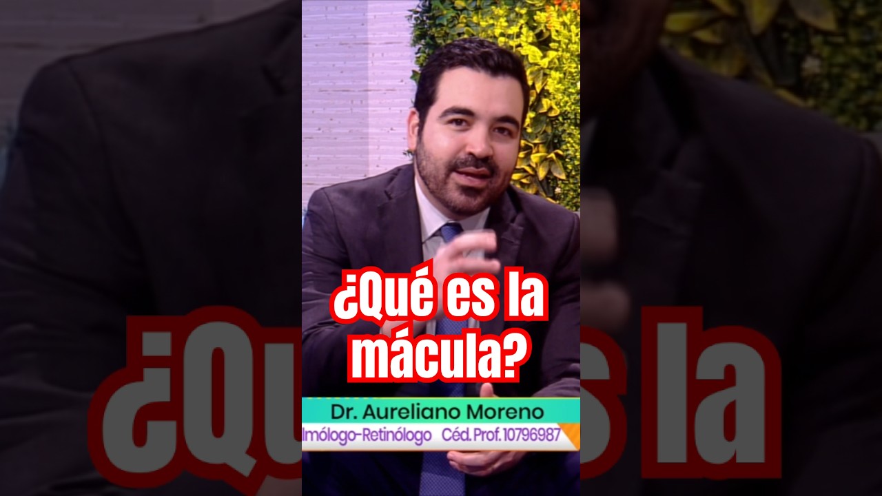 ¿Qué es la 