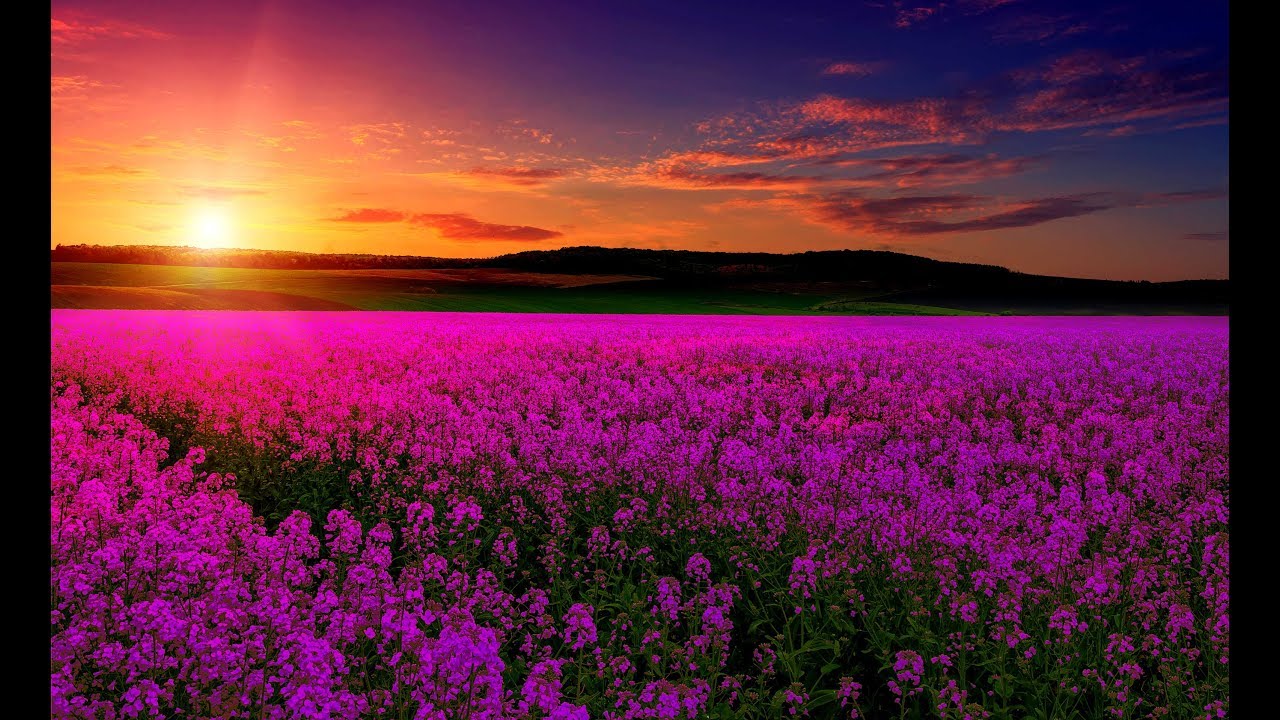 Relaxing Music For Emotional Healing & Detachment from Negativity | Boost Happiness & Inner Peace