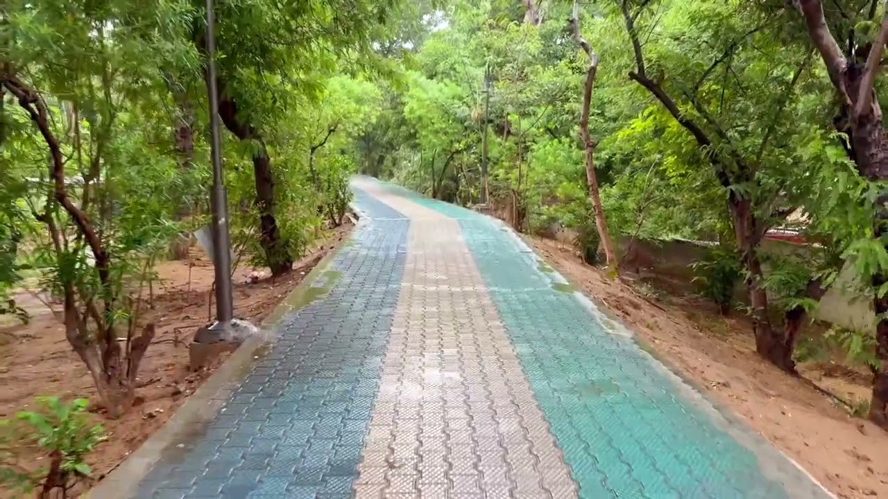 A Peaceful Walk in Green Belt Sector 15 | Gurgaon | Part 1