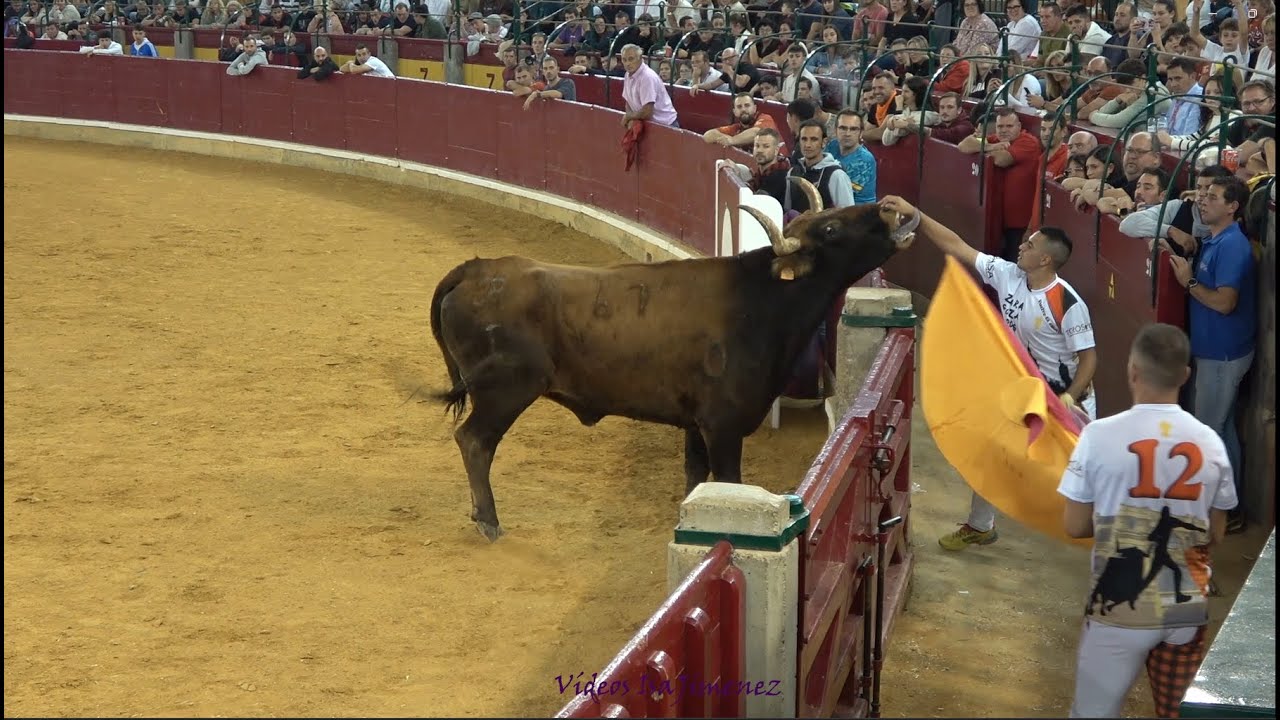 Especial Arriazu - Zaragoza - 05/10/2024 - Nº 67/CHIVATO - HD