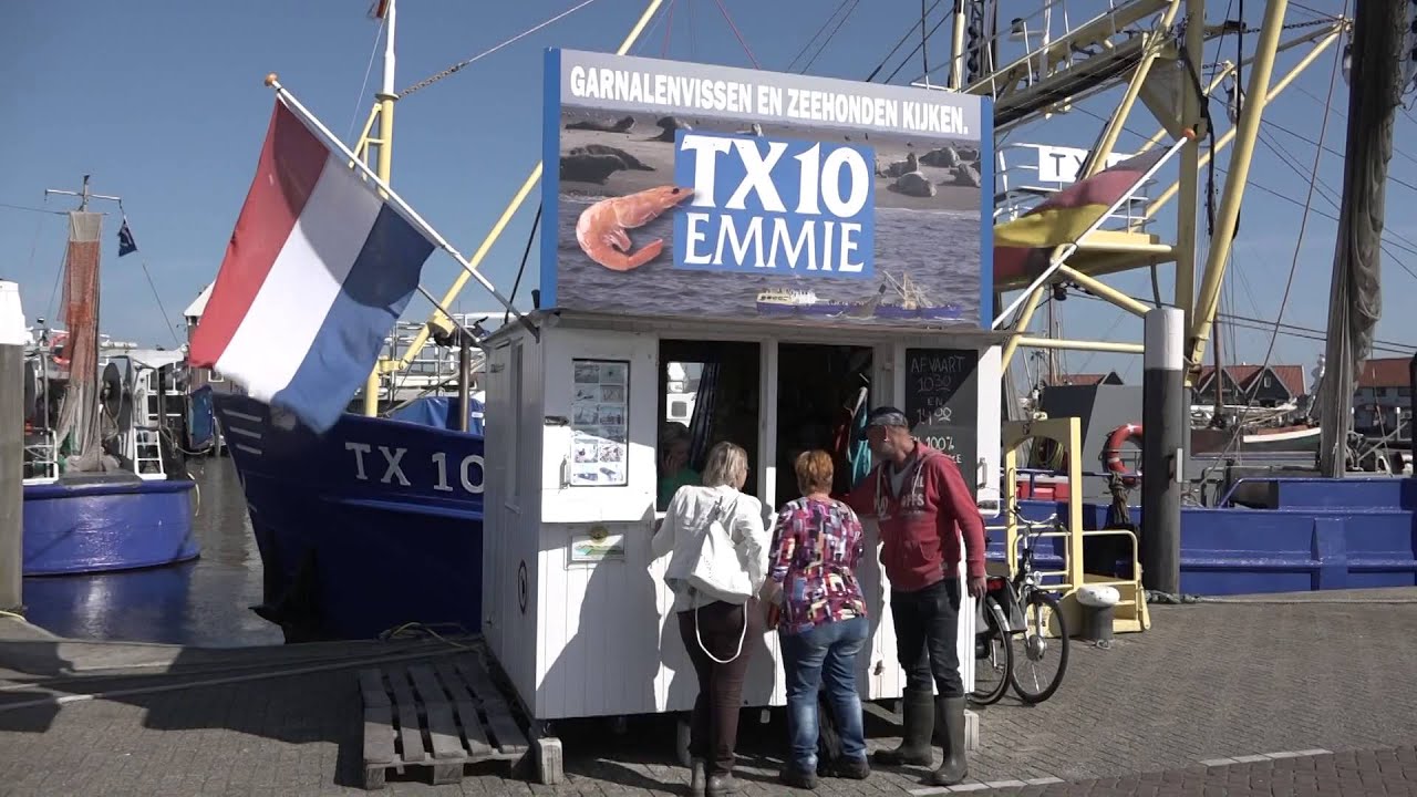 Mit dem Womo unterwegs - Texel, eine niederländische Insel