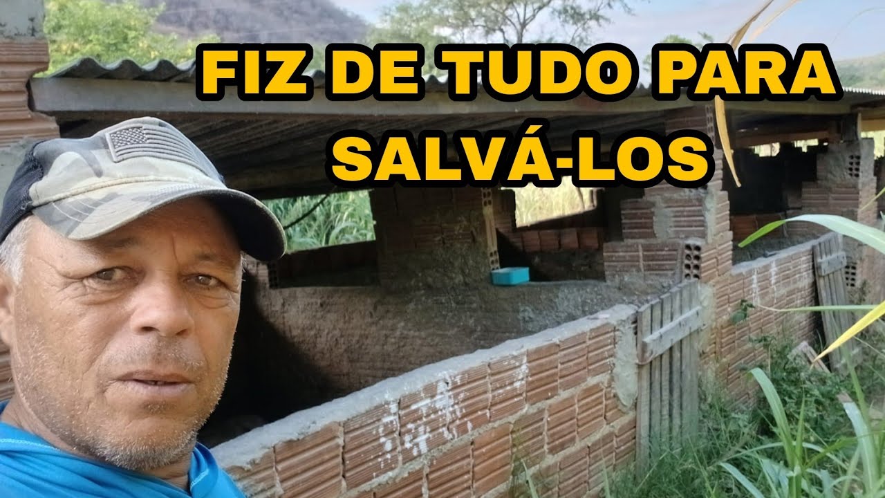 FIZ DE TUDO PARA SALVÁ-LOS!!!!