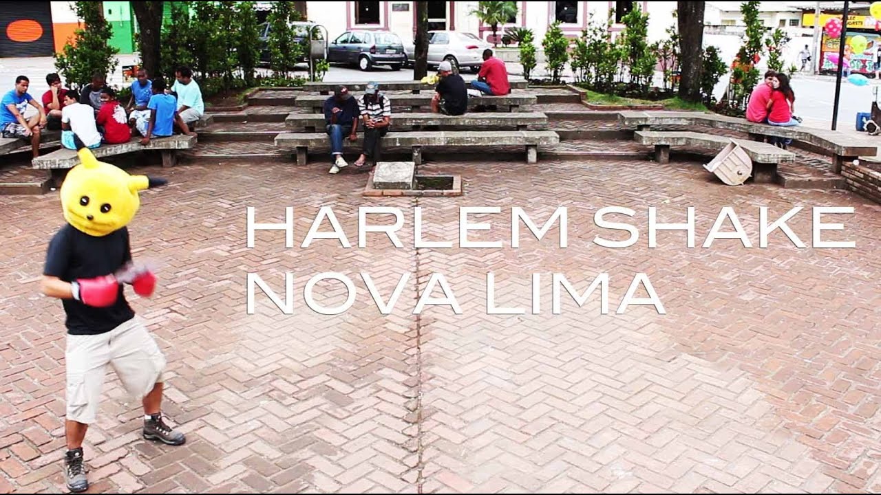 Primeiro Harlem Shake - TVNL