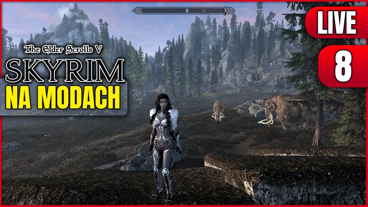 Skyrim na Modach #8