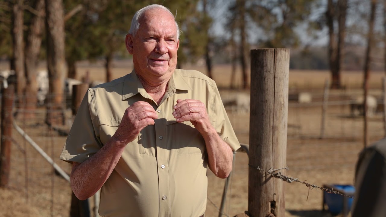 Everything you need to know about internal parasites with Dr. Faffa Malan