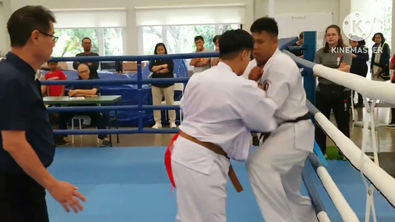 WILLIAM FELIX | SPIRIT FIGHTING (red) VS JUNAEDI ABDILLAH | WKO (blue)