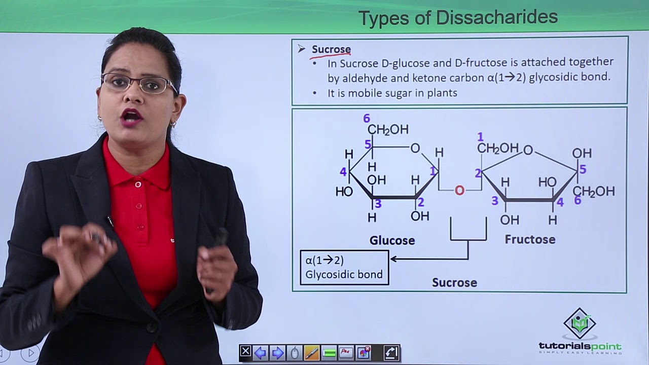 Biomolecules - Oligosaccharides