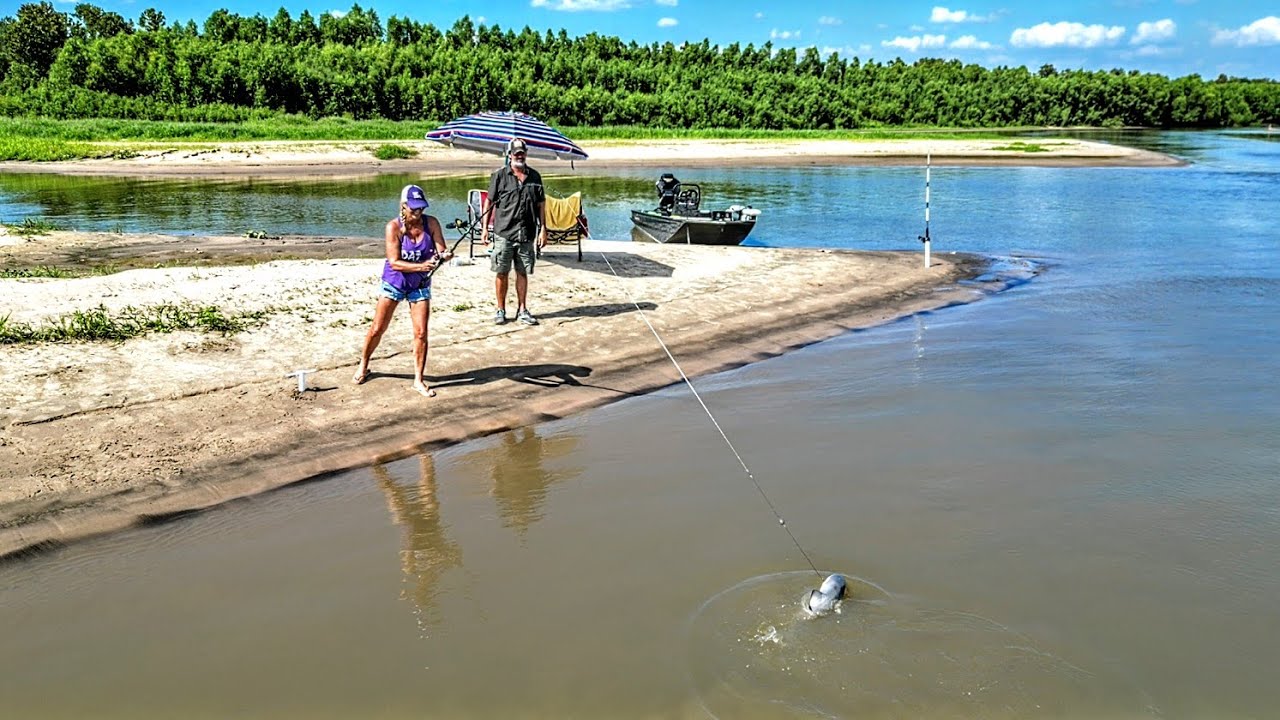 This River is Infested with Sharks! Bull Shark Catch and Cook!