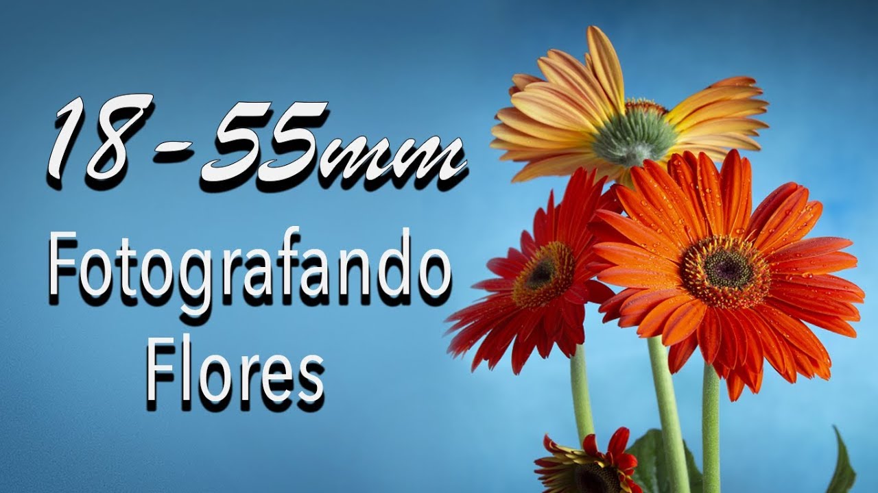 FOTOGRAFANDO FLORES COM A 18-55mm